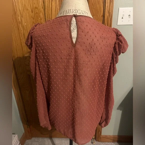 ZARA Swiss dot long sleeve blouse - Picture 2 of 3